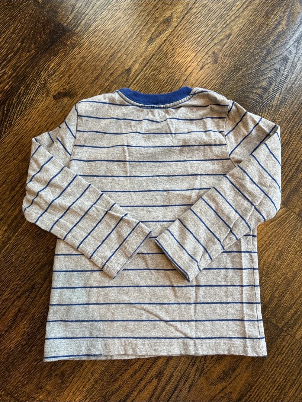 Dinosaur shirt